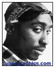 tu pac